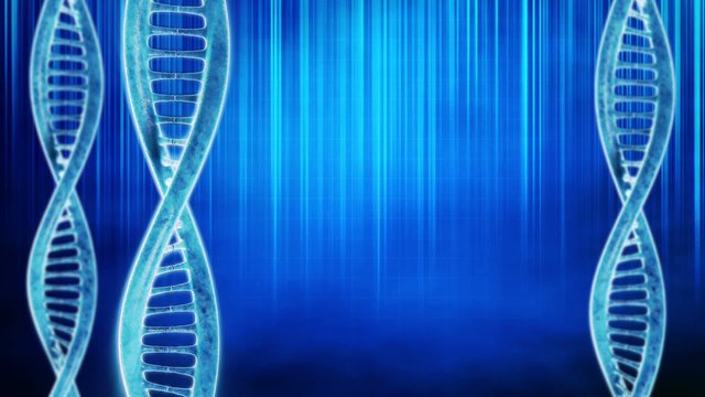DNA loop