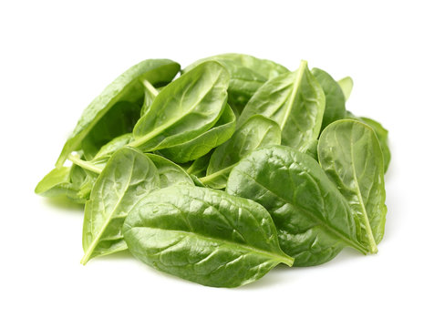Baby spinach on a white background