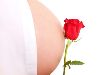 Pregnant belly and flower, nature, love concept
