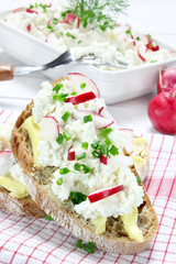 Bread with butter,cottage cheese , radish and chives