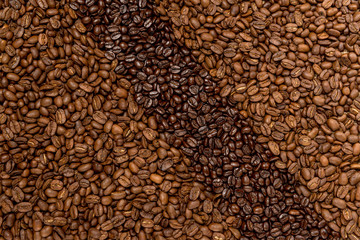 Kaffeebohnen arabica