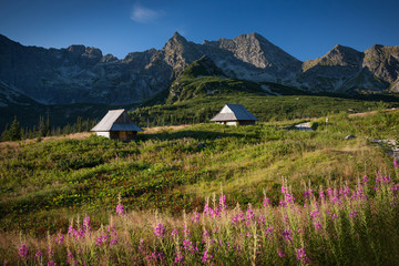 Tatra Mountains, Spring in Gasienicowa Valley