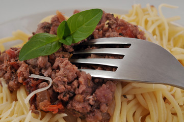 Les spaghetti à la bolognaise et au basilic