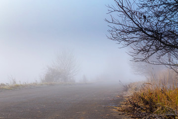 Obraz na płótnie Canvas Road going in to the fog