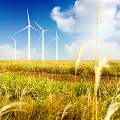 Wind farm