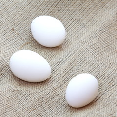 Organic white eggs