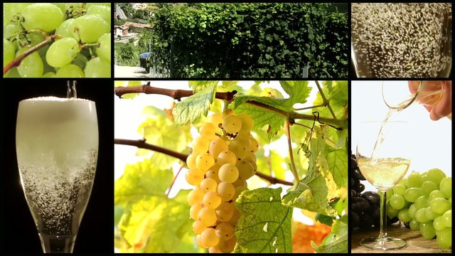 white wine collage