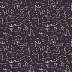 pattern with rats