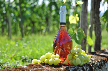 Bottle of champagne and grapes against vineyards