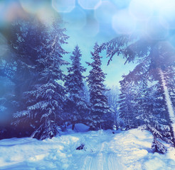 Winter