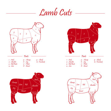 LAMB_cuts_sheme-red