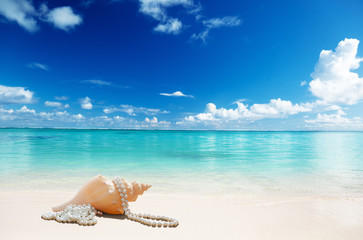 Obraz na płótnie Canvas sea shells and perls on the beach
