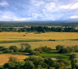 Fototapeta na wymiar summer landscape in the countryside