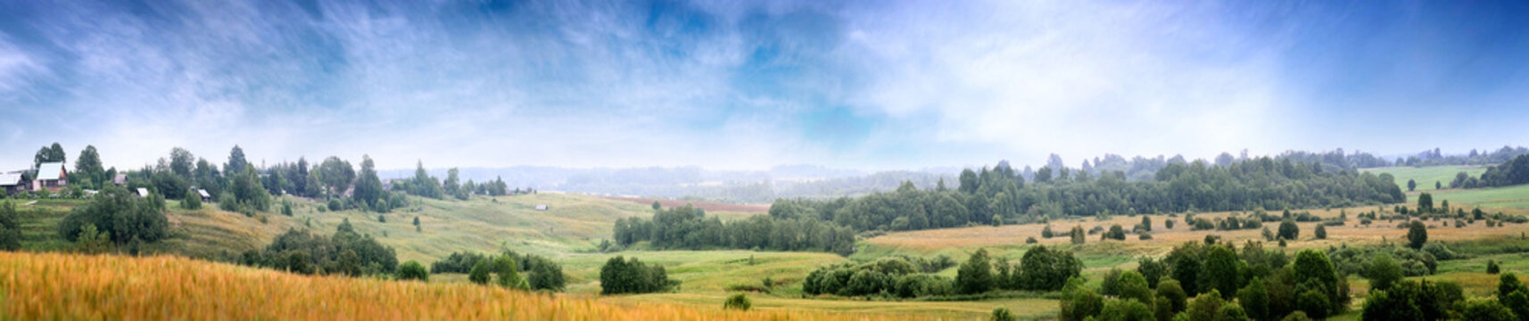 Summer Landscape In The Countryside