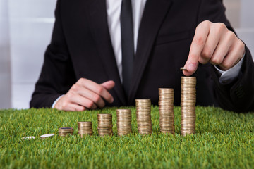 Businessman Arranging Coins