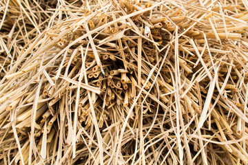 Rice straw  in rice field