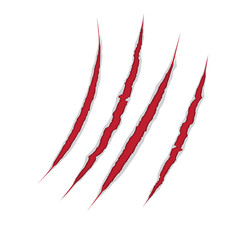 Fototapeta premium Claws scratch