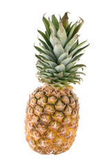 Fototapeta premium Pineapple