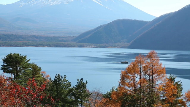 富士山と田貫湖の紅葉  (ティルトアップ)