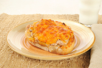 Tuna melt with milk