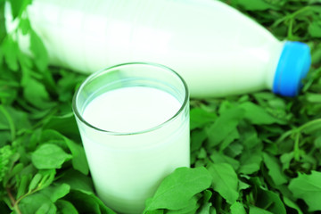 Glass of milk and bottle of milk on grass