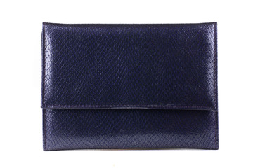 woman bag isolated on white