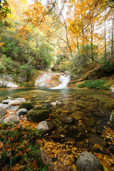 Fototapeta na wymiar jesień, las i potok, Guang Wu Shan