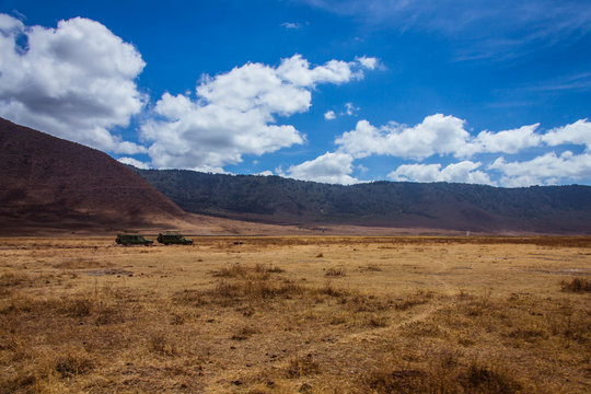 Fototapeta African car safari in the Ngorongoro area