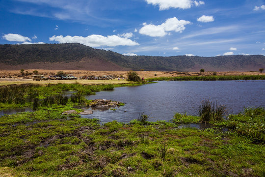 Fototapeta African car safari in the Ngorongoro area