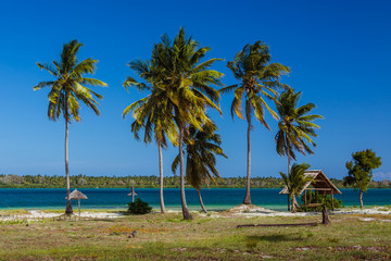 Palm beach of Mafia Island