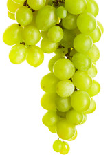 Green grape