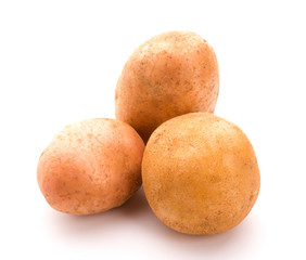 Potato