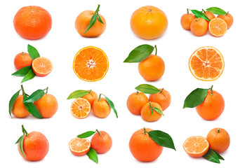 Mandarins
