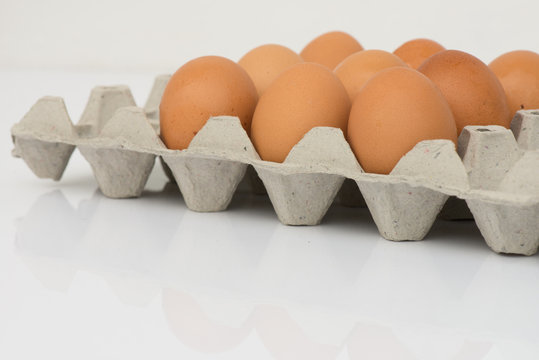 Eggs in the tray with isolate background