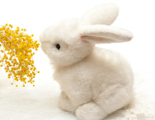 White bunny toy smelling mimosa flower