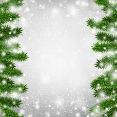 Fir christmas frame.