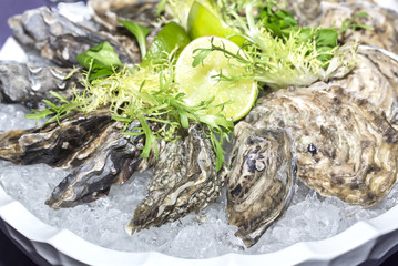 oysters on ice in a dish on a table in a restaurant