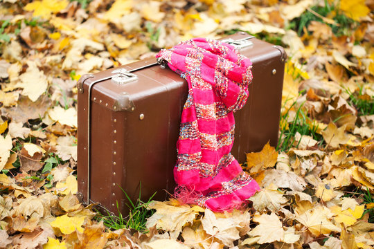 vintage suitcase with pink scarf in autumn park