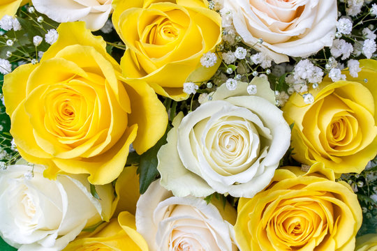 Bouquet of yellow and white roses