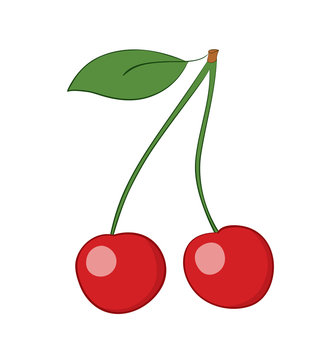 ripe cherries - vector