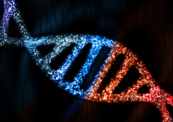 Dna Abstract