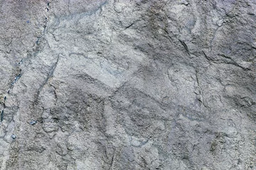 Fotobehang textuur van een grijze stenen muur © Paulista