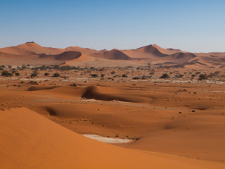 Fototapeta na wymiar Red dunes of Namid desert