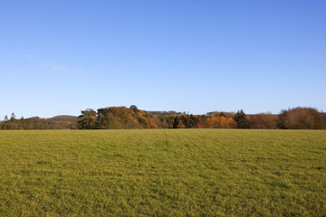 autumn evening landscape