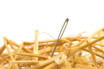 needle in a haystack