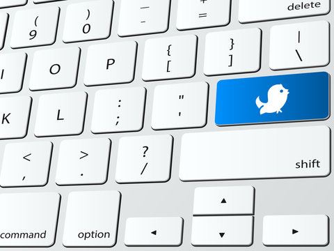 Bird tweet computer keyboard icon