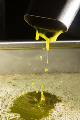 extra virgin olive oil
