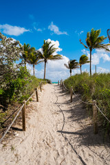 Fototapeta premium Miami Beach