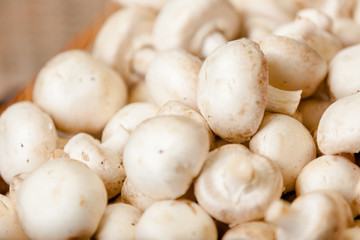 Close up of heap of mushrooms in the shop