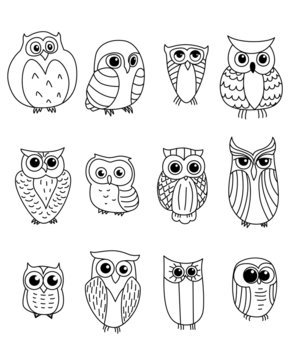 Cartoon owls and owlets